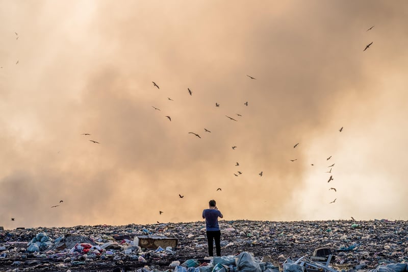 Reduce Waste Image